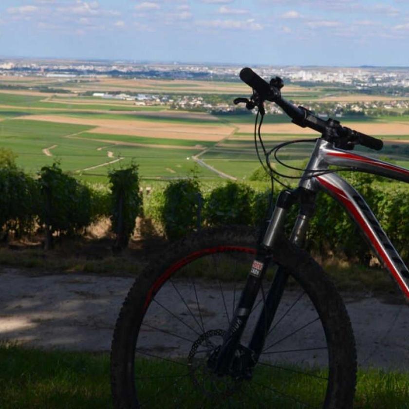 Gite Saint Martin Pargny-les-Reims Eksteriør billede